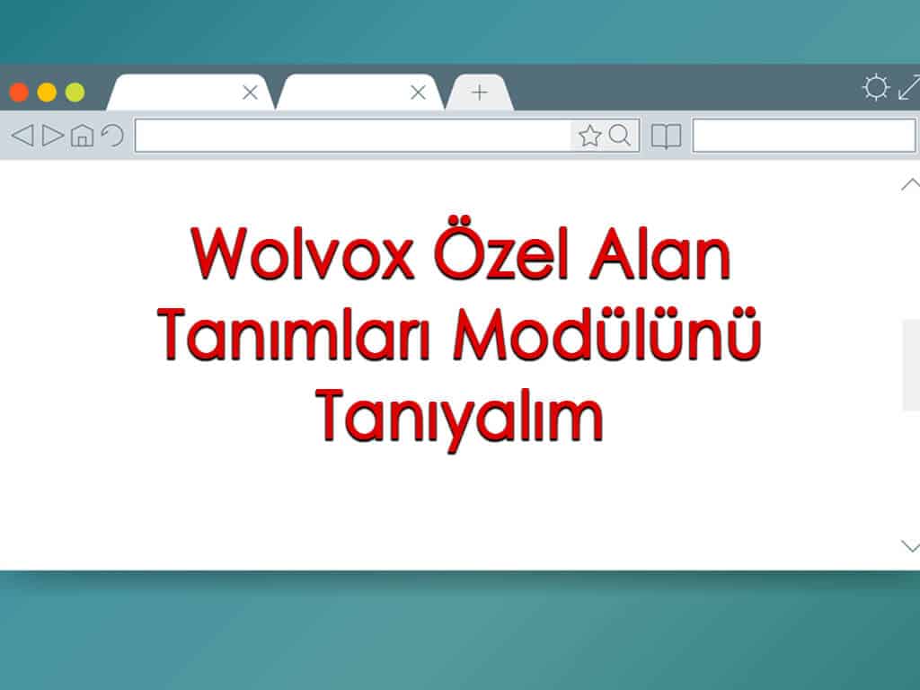 Wolvox Özel Alan Tanımları Modülünü Tanıyalım