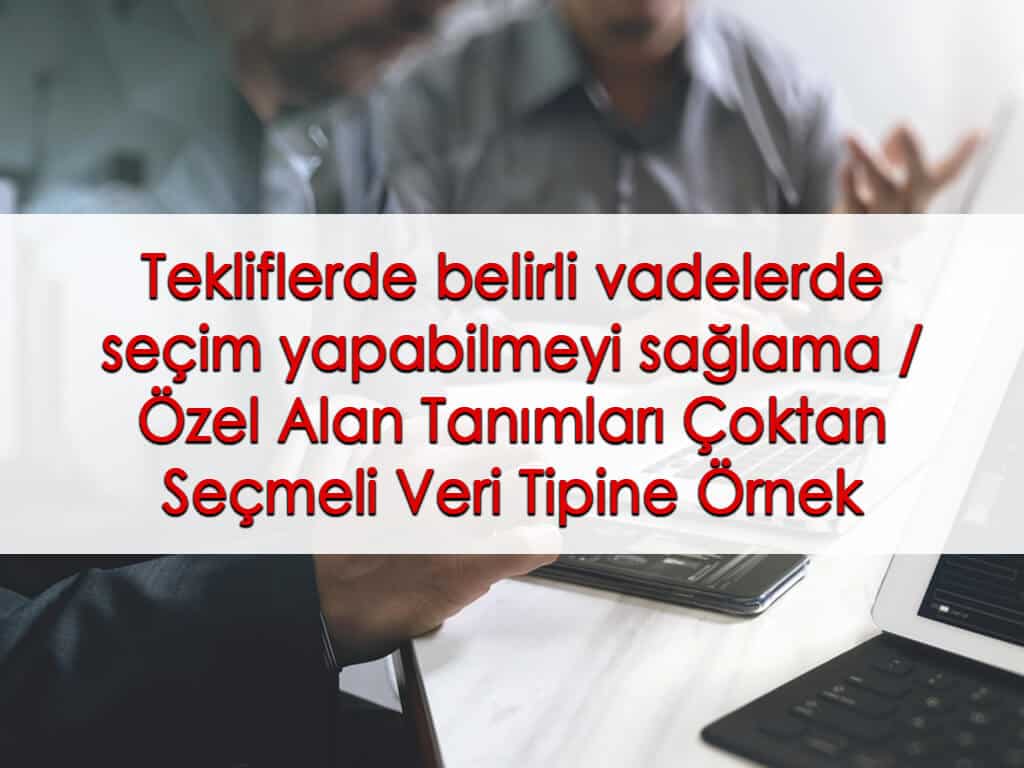 Tekliflerde belirli vadelerde seçim yapabilmeyi sağlama / Özel Alan Tanımları Çoktan Seçmeli Veri Tipine Örnek