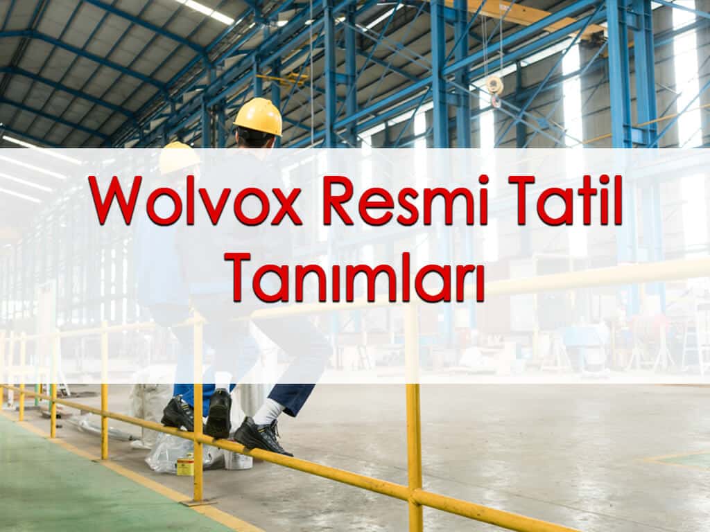 Wolvox Resmi Tatil Tanımları