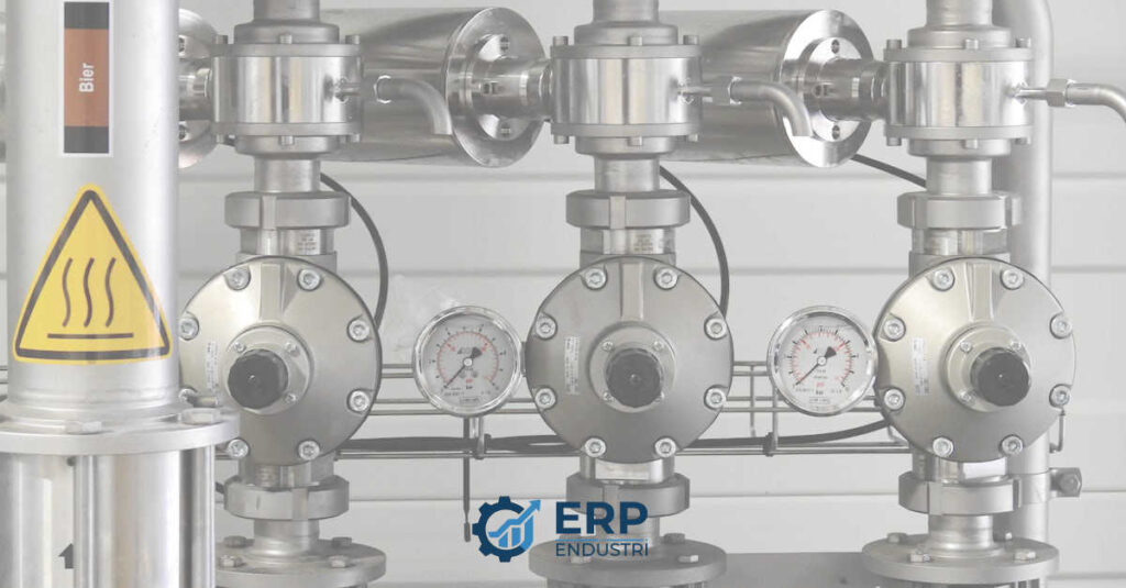ERP Programı ile İş Süreçlerinizi Nasıl Dönüştürebilirsiniz?